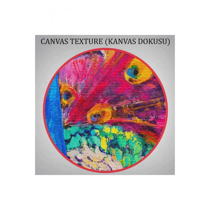 Çok Renkli Tavus Kuşu Modern Sanat Kanvas Duvar Tablosu-1112