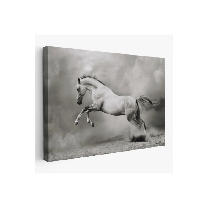 Çöldeki  Beyaz At Tablosu-6598