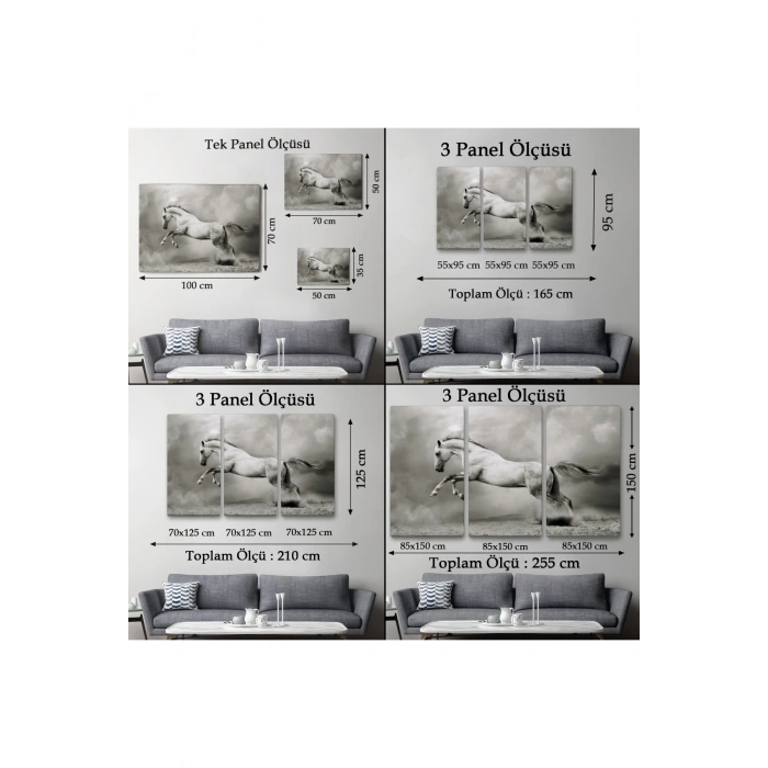 Çöldeki  Beyaz At Tablosu-6598