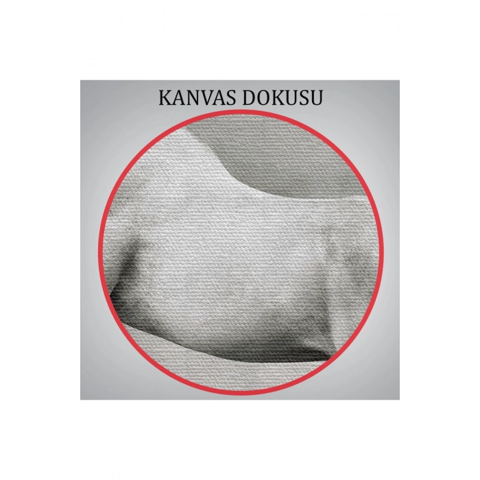 Çöldeki  Beyaz At Tablosu-6598