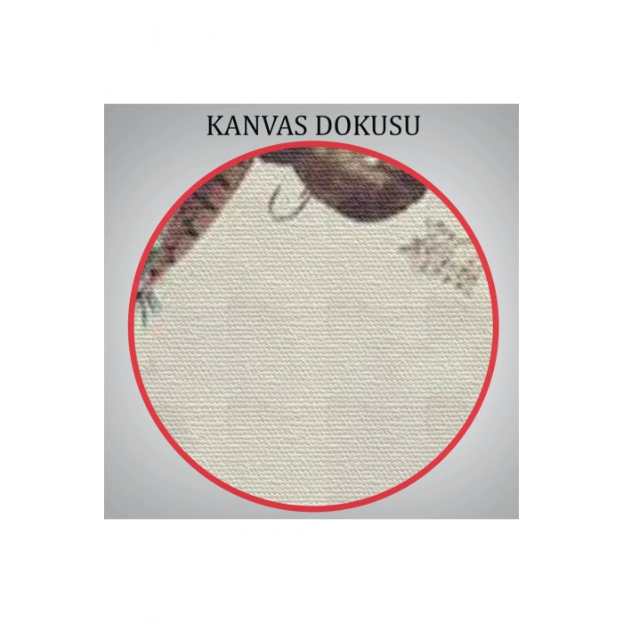 Daldaki Tavuz Kuşu  Dekoratif Duvar Tablosu-6494