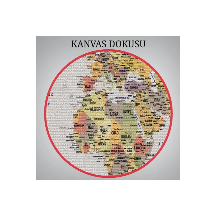 Detaylı Dünya Haritası Dekoratif Renkli Zeminli Kanvas Tablo 1676