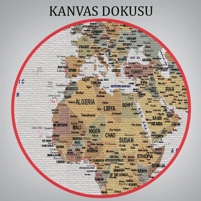 Detaylı Dünya Haritası Dekoratif Renkli Zeminli Kanvas Tablo 1702