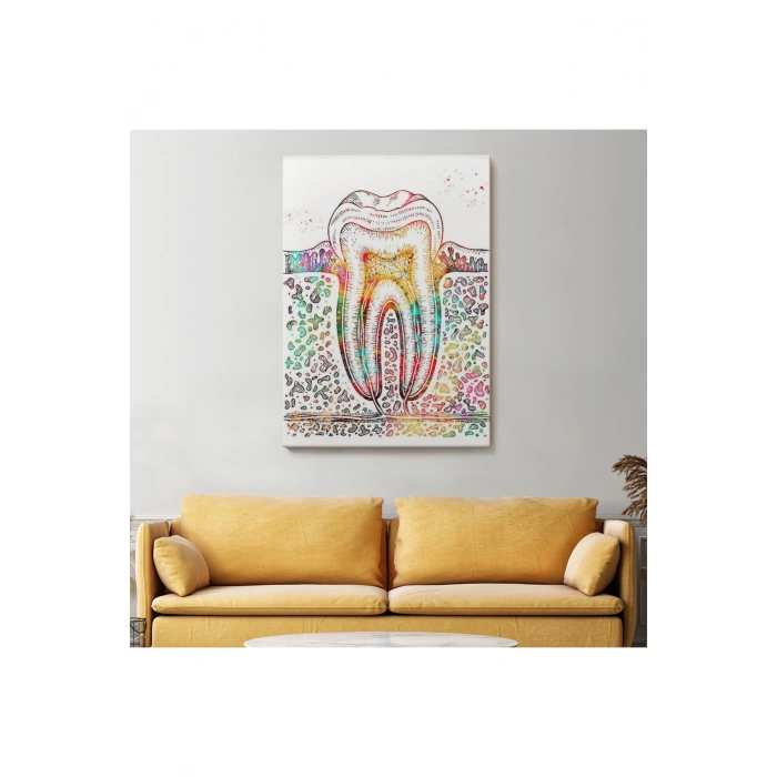 Diş Diyagramı Tablosu-6480