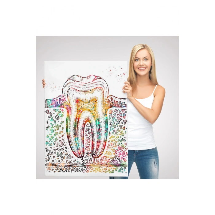 Diş Diyagramı Tablosu-6480