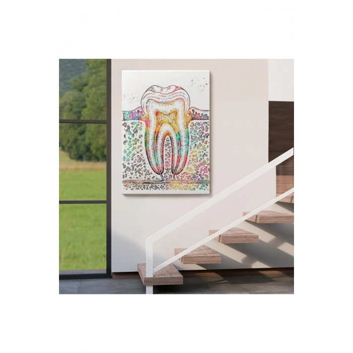 Diş Diyagramı Tablosu-6480