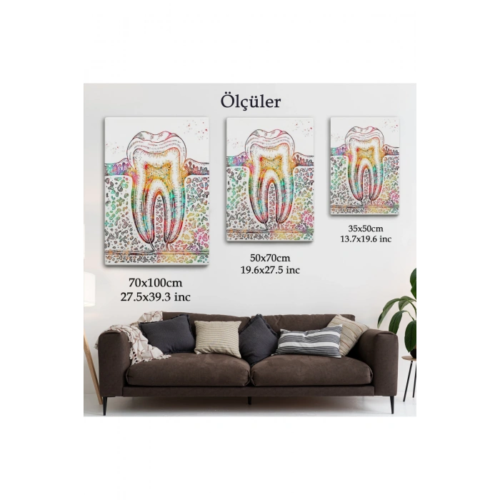 Diş Diyagramı Tablosu-6480