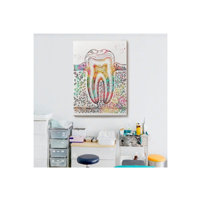 Diş Diyagramı Tablosu-6480