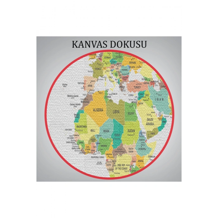 Dünya Haritası  Dekoratif Kanvas Tablo 1056