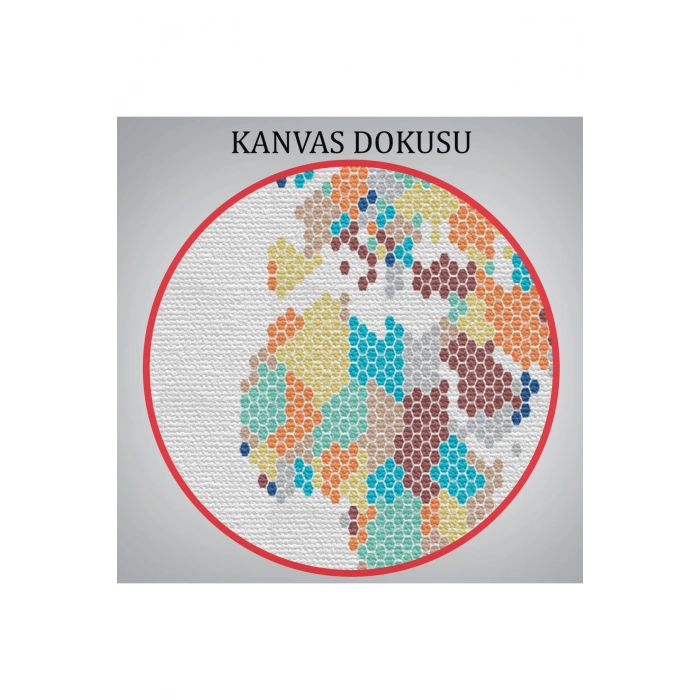 Dünya Haritası  Dekoratif Kanvas Tablo 1061