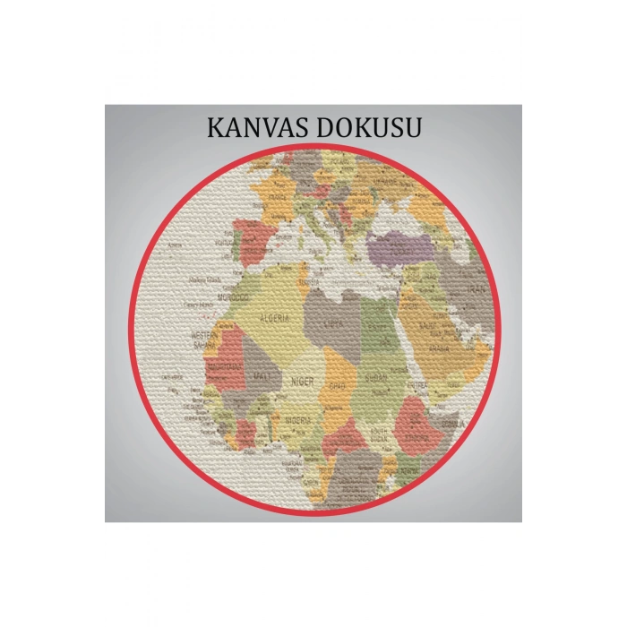 Dünya Haritası  Dekoratif Kanvas Tablo 1073