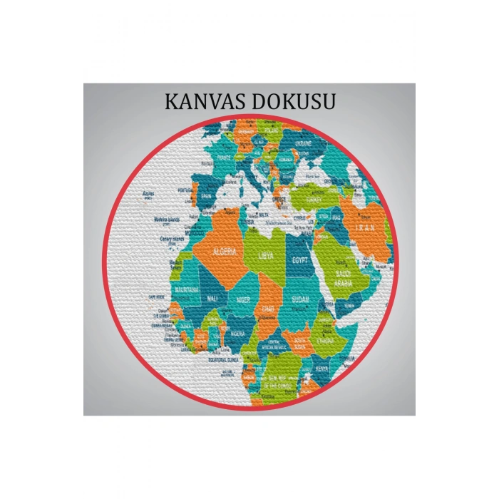 Dünya Haritası  Dekoratif Kanvas Tablo 1076