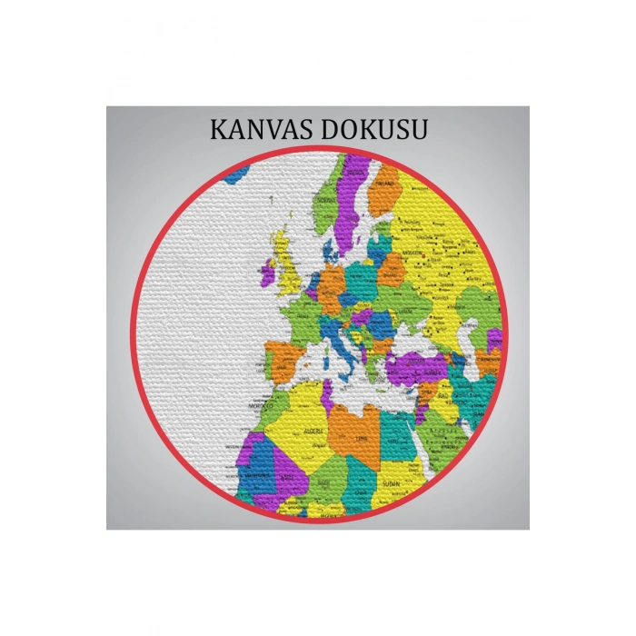 Dünya Haritası Detaylı Dekoratif Kanvas Tablo 1054