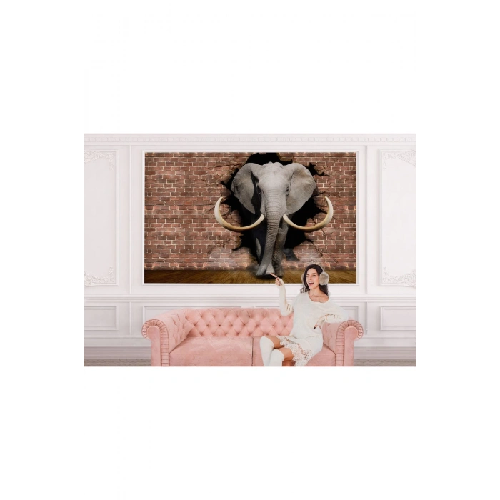 Duvardan Çıkan Fil Duvar Kağıdı-5609