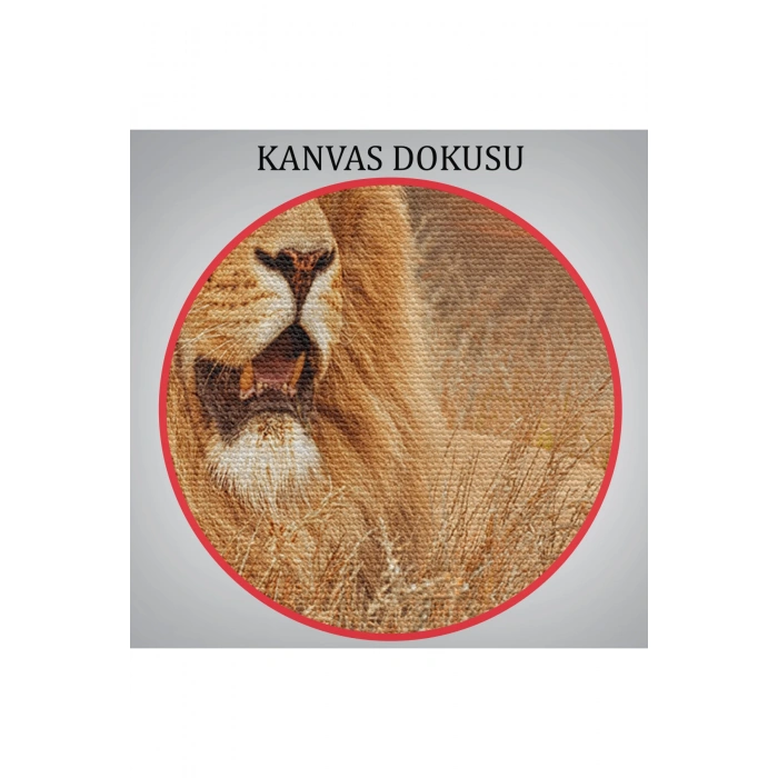 Erkek Aslan Dekoratif Kanvas Tablo 1138