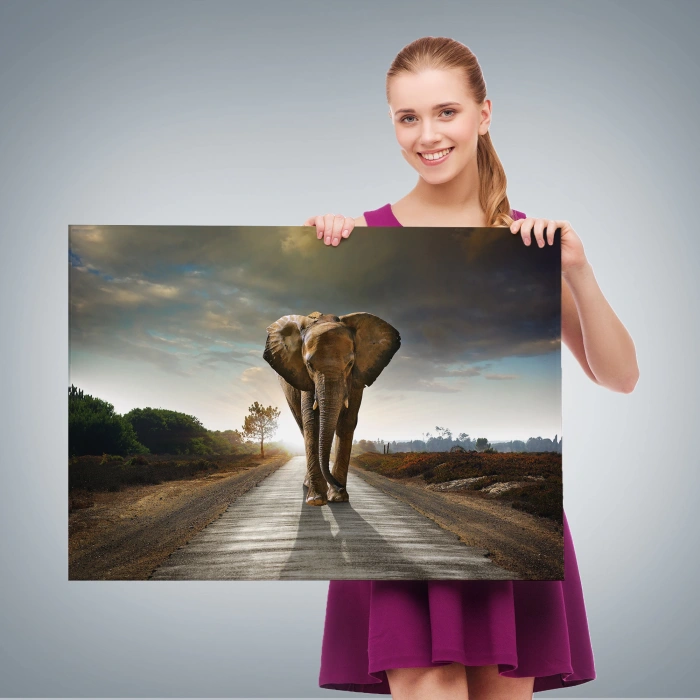 Fil Dekoratif Kanvas Tablo 1118