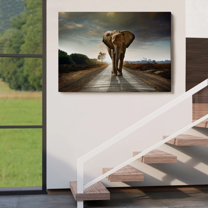 Fil Dekoratif Kanvas Tablo 1118