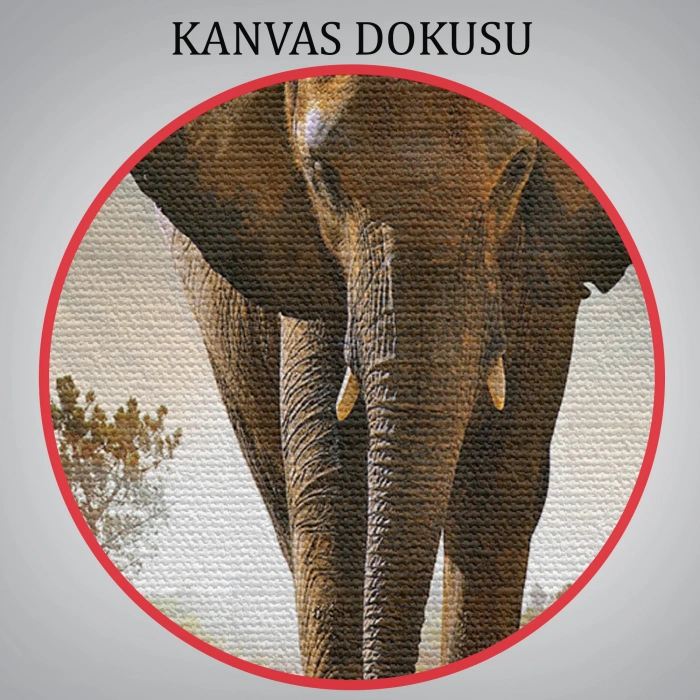 Fil Dekoratif Kanvas Tablo 1118