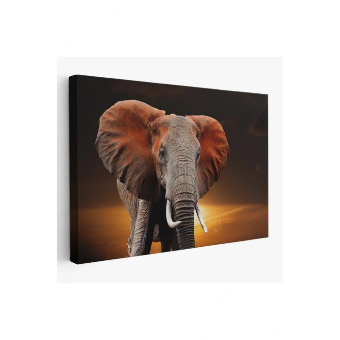 Fil Dekoratif Kanvas Tablo 1167