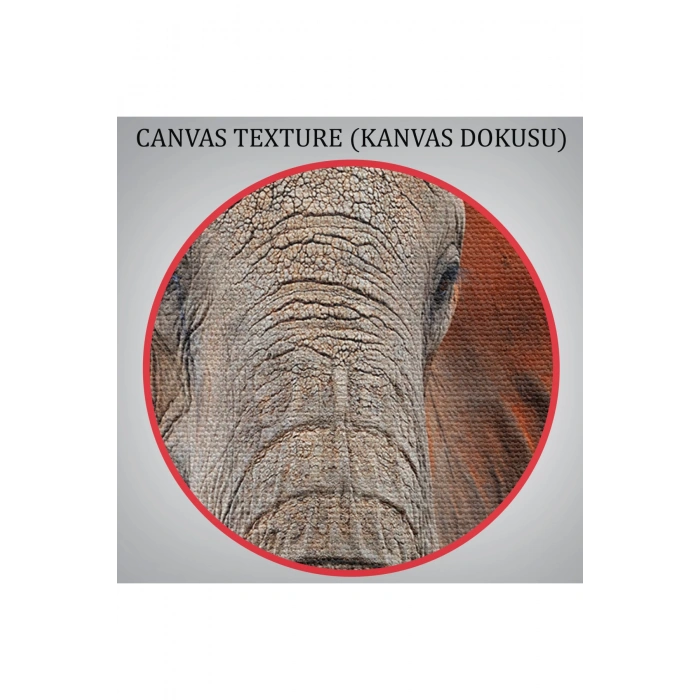 Fil Dekoratif Kanvas Tablo 1167