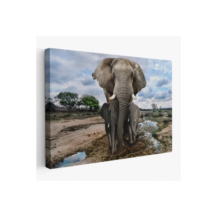 Fil ve Yavruları Dekoratif Kanvas Tablo 1134