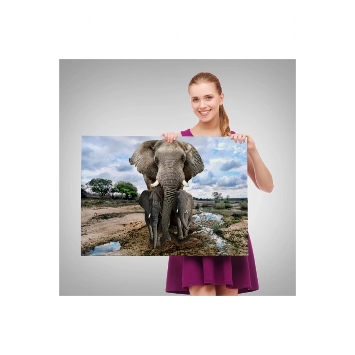 Fil ve Yavruları Dekoratif Kanvas Tablo 1134