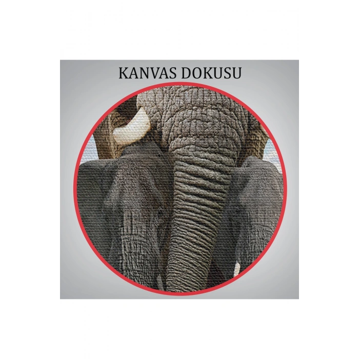 Fil ve Yavruları Dekoratif Kanvas Tablo 1134