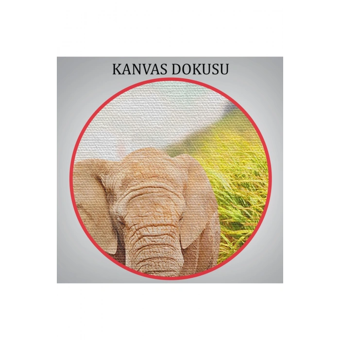 Fil ve Yavrusu Dekoratif Kanvas Tablo 1144