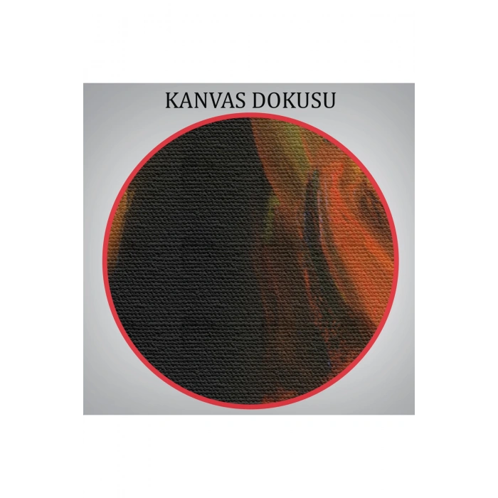 Flamenko Dansçısı Kadın Dekoratif Duvar Tablosu-6425