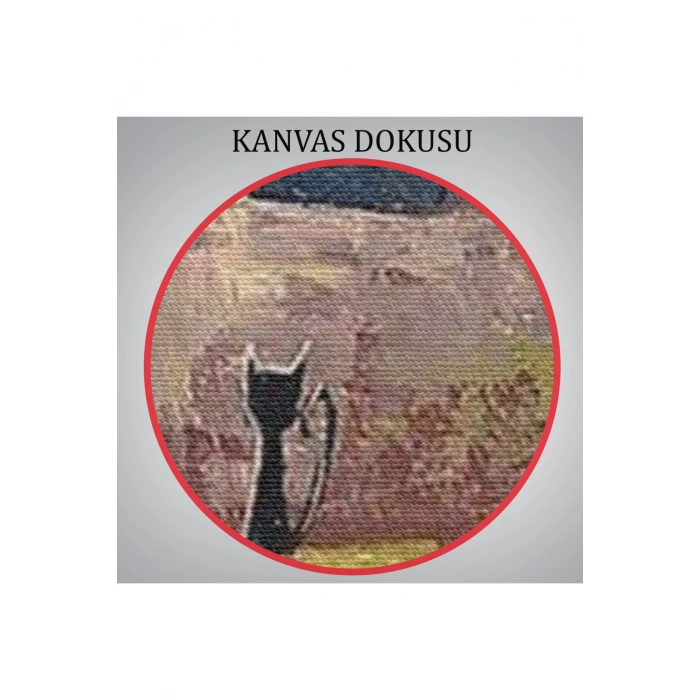 Gecenin Meleği Dekoratif Duvar Tablosu-6244