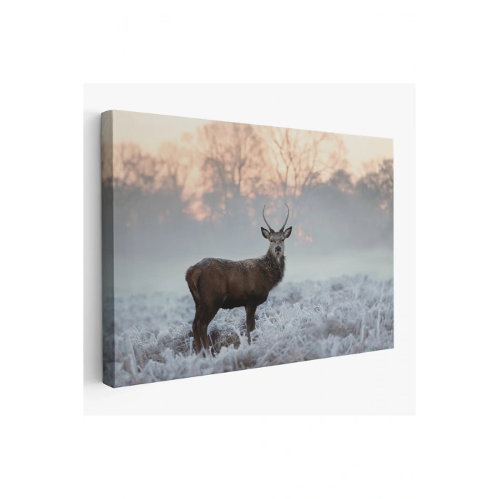 Geyik Dekoratif Kanvas Tablo 1166