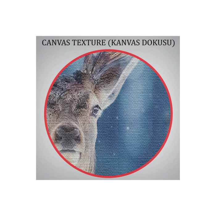 Geyik Dekoratif Kanvas Tablo 1168