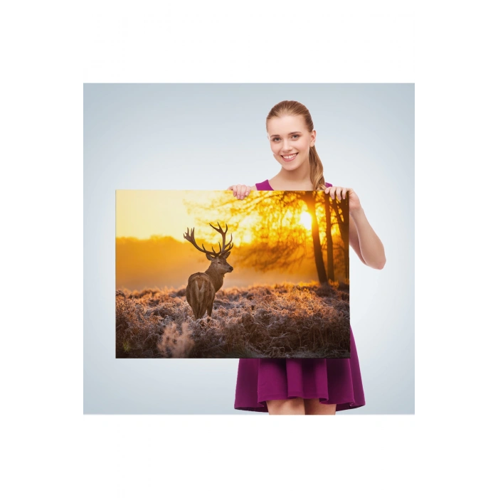 Geyik  Gün Batımı Dekoratif Kanvas Tablo 1120