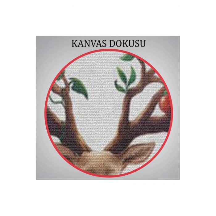 Geyik YBoynuzları Üzerinde Renkli Kuşlar Tablosu-6477