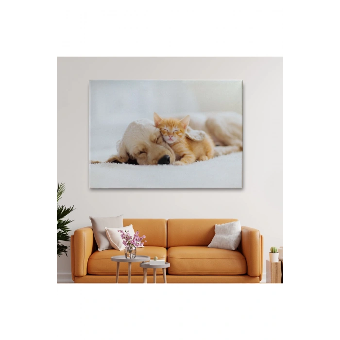Golden Köpek İle Uyuyan Yavru Kedi Dekoratif Kanvas Tablo 1176