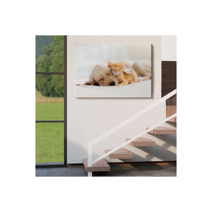 Golden Köpek İle Uyuyan Yavru Kedi Dekoratif Kanvas Tablo 1176