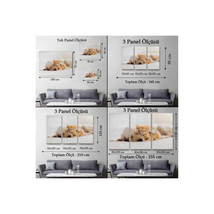 Golden Köpek İle Uyuyan Yavru Kedi Dekoratif Kanvas Tablo 1176