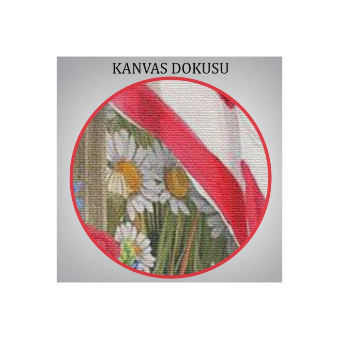 Güzel Bahçe İçierisindeki Amerka Bayrağı Duvar Tablosu-6278