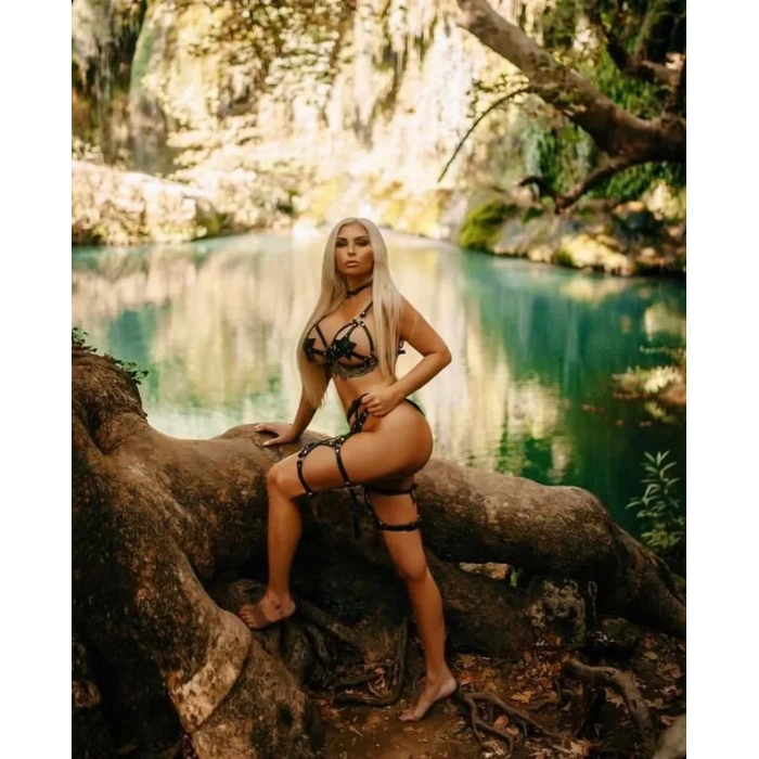 Harness Deri Yıldız Seri 3lü Set