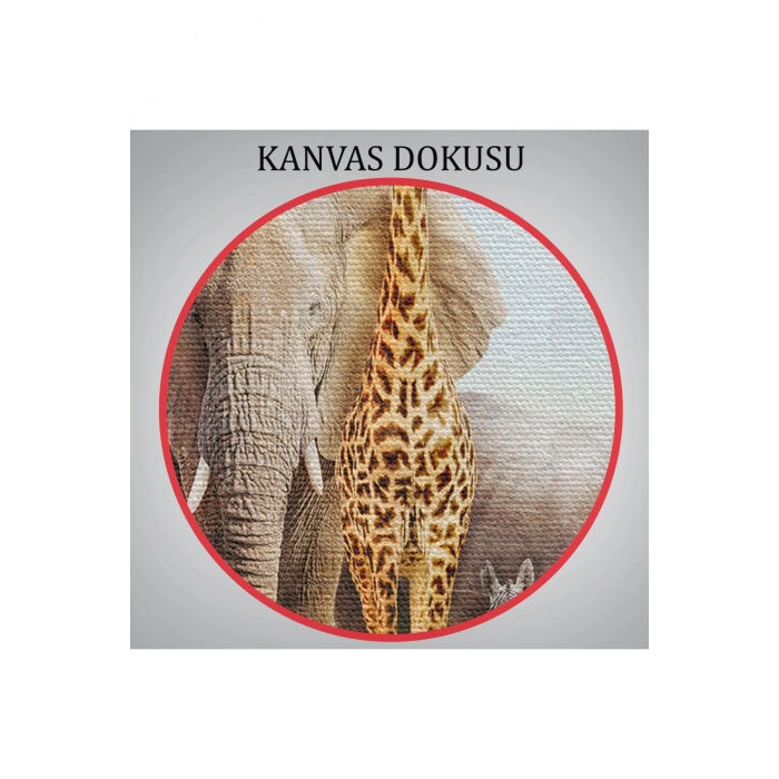 Hayvanlar Alemi Dekoratif Kanvas Tablo 1146
