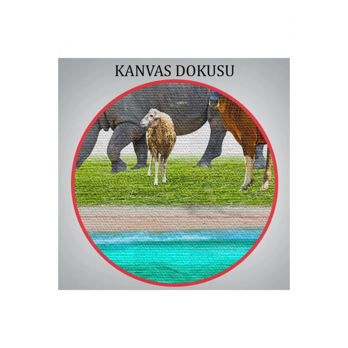 Hayvanlar Alemi Dekoratif Kanvas Tablo 1177