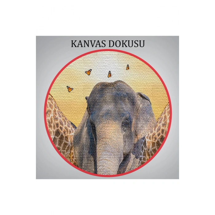 Hayvanlar Alemi Dekoratif Kanvas Tablo 1180
