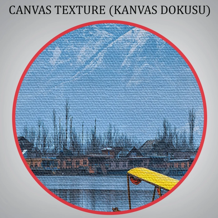 Hindistan Srinagar Dal Gölü Kış Manzara Tablosu-1244