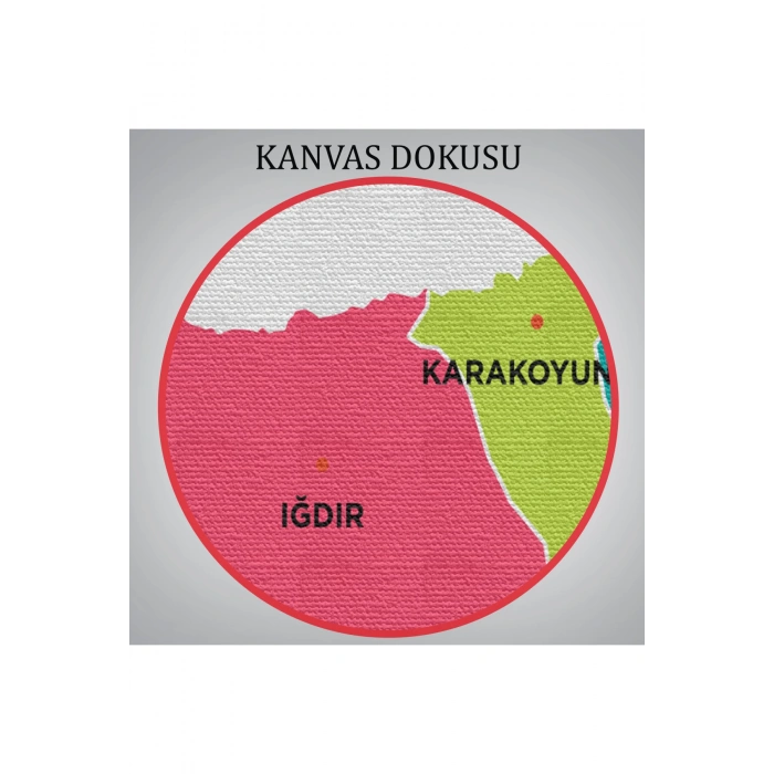 Iğdır  İli ve İlçeler Haritası  Dekoratif Kanvas Tablo 1357