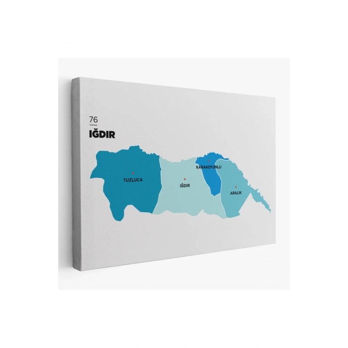 Iğdır  İli ve İlçeler Haritası  Dekoratif Kanvas Tablo 1359