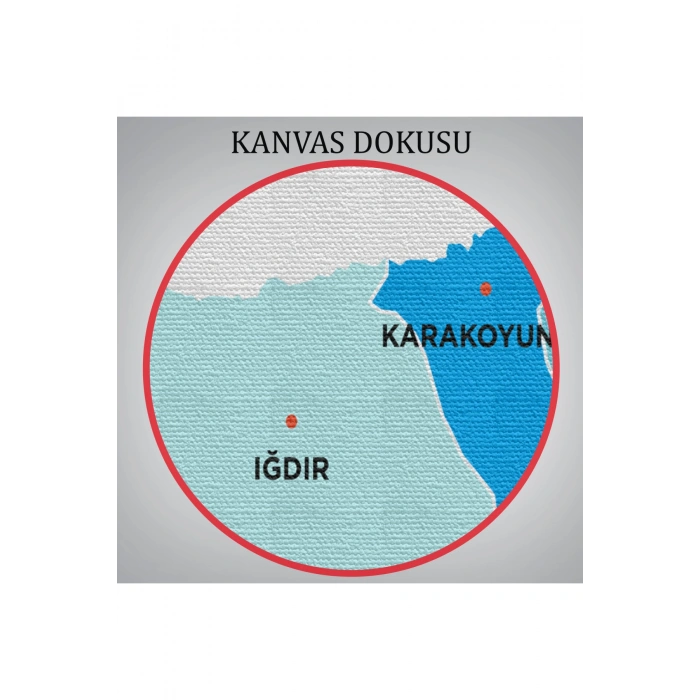 Iğdır  İli ve İlçeler Haritası  Dekoratif Kanvas Tablo 1359