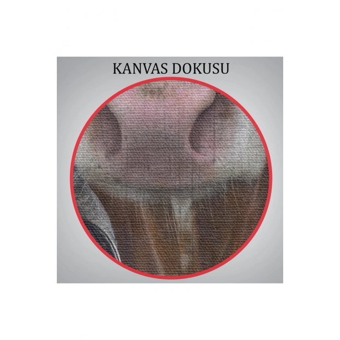 İnek Kafalı İnsan Kanvas Tablo-4997