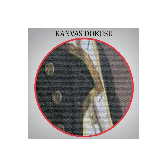 İngiliz Amiral Horatio Nelson Dekoratif Duvar Tablosu-6227