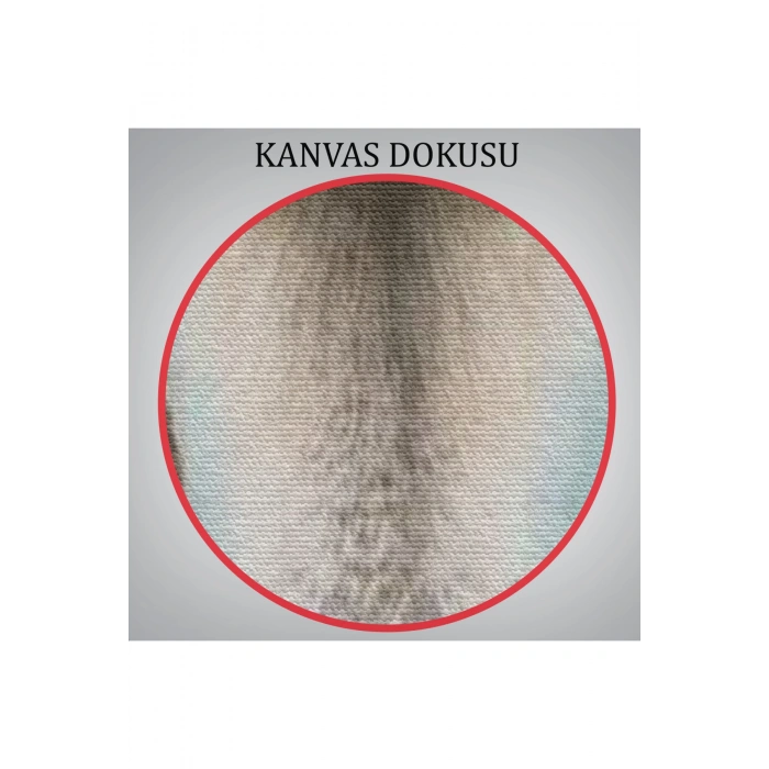 İnsan Kıyafetli Deve Kuşu Dekoratif Duvar Tablosu -6286