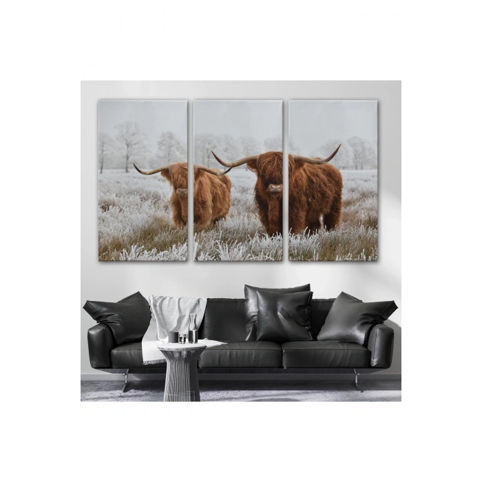 İskoçya Sığırları Dekoratif Kanvas Tablo 1150